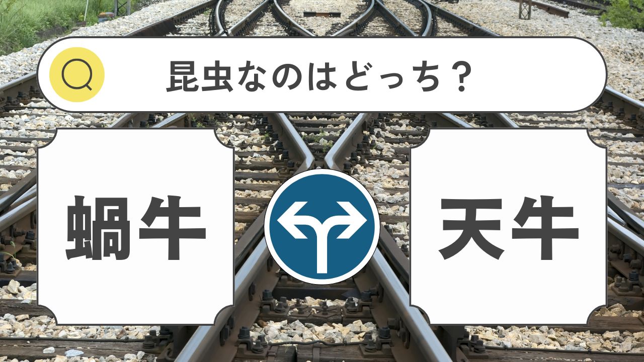 二択漢字クイズ-蝸牛・天牛←昆虫なのは？告天子・覆盆子←植物なのは？