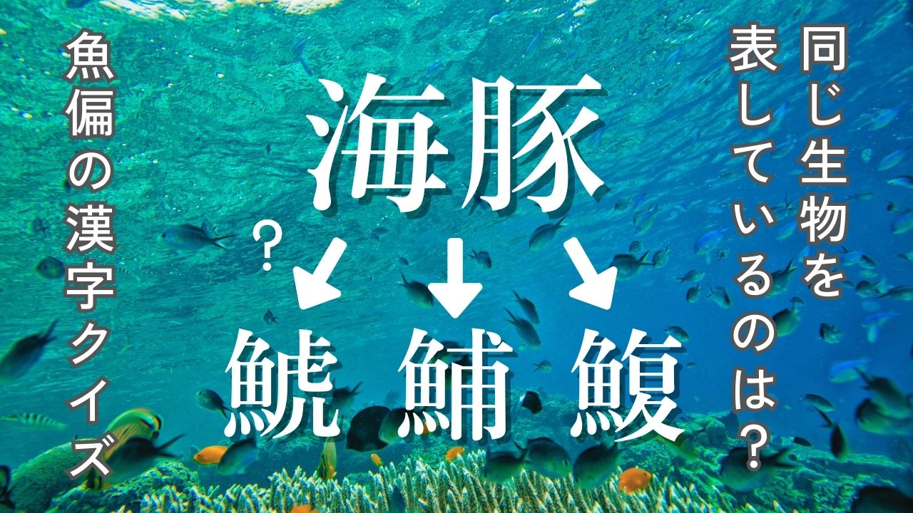 鱈=大口魚のように表記が複数ある魚偏の漢字クイズ-香魚・公魚・海豚