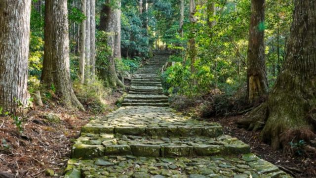 和歌山県の巡礼道