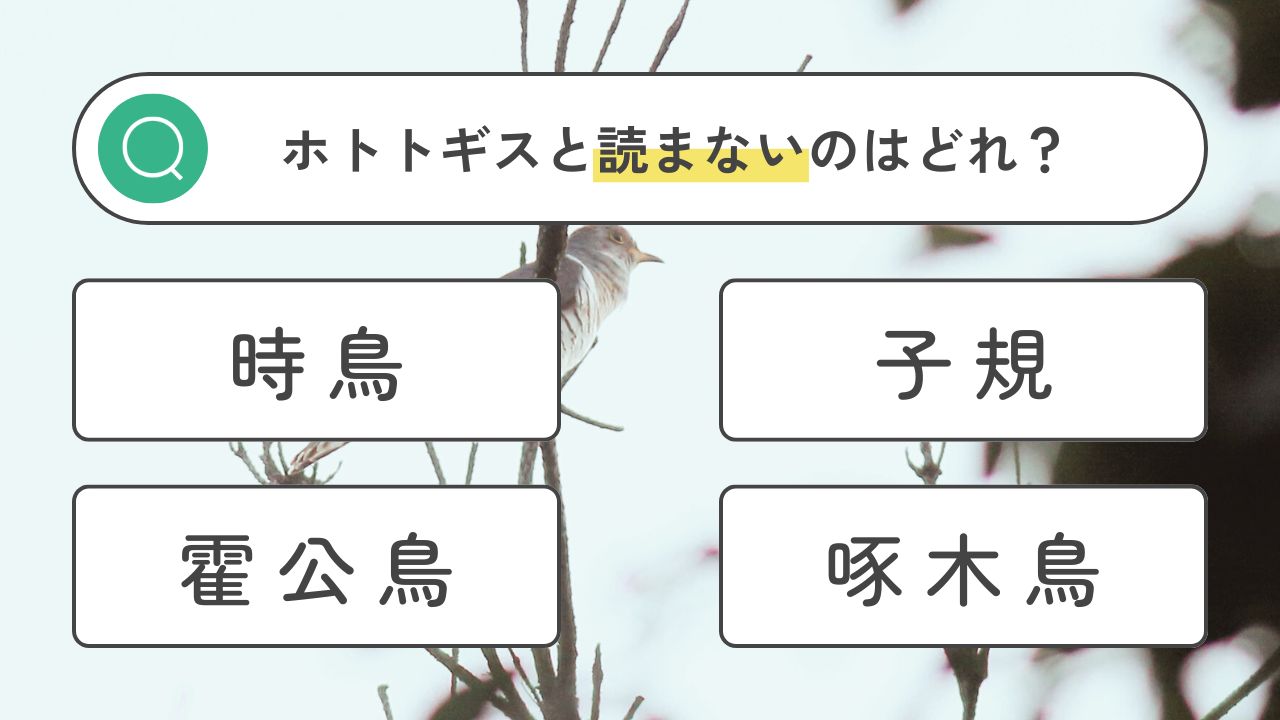 【熟字訓】鳥という字が入る鳥の種類クイズと一覧表【難読漢字】