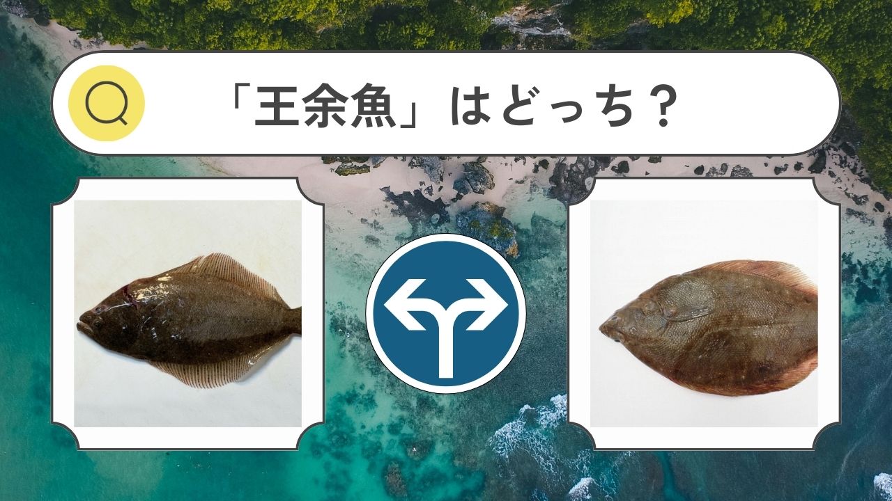 【熟字訓】魚という字が入る魚の種類クイズと一覧表【難読漢字】