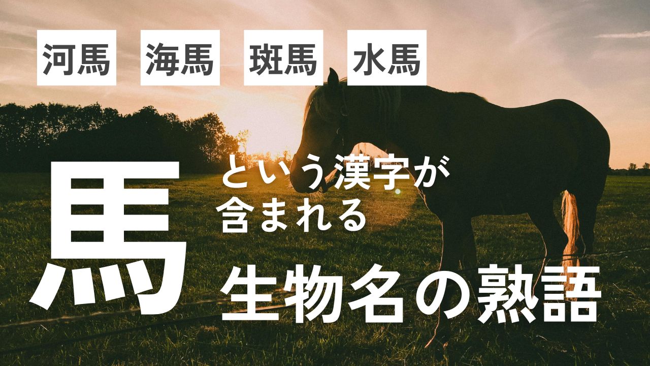 【難読漢字】馬という字が入る生物の名前の熟語・熟字訓クイズ&一覧表