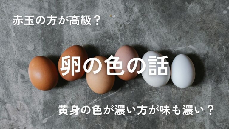 【卵の色と栄養価】殻は白と茶色どっちがいい？黄身の色は濃い方が良いの？