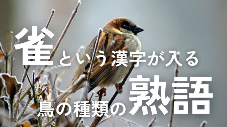 【難読漢字】雀という漢字が使われている鳥の名前の熟語クイズ